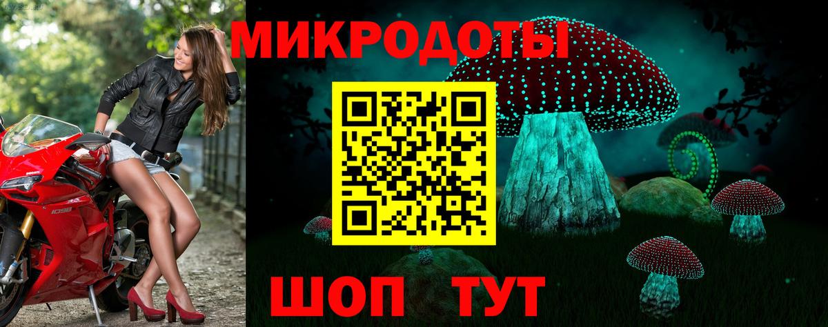 Каспийск  сколько стоит  Псилоцибиновые грибы MAGIC MUSHROOMS  Вход с VPN  Псилоцибиновые грибы MAGIC MUSHROOMS 