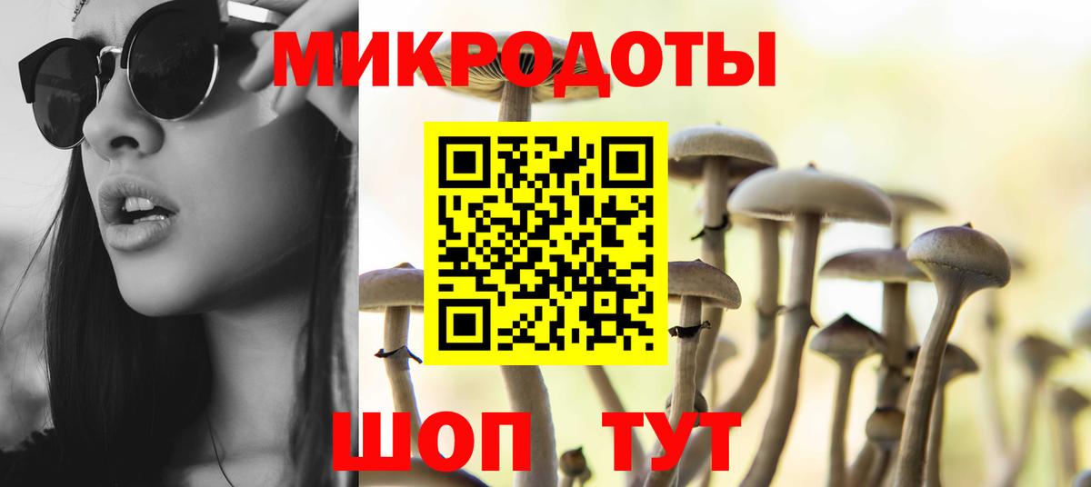 Бошки Шишки Каспийск
